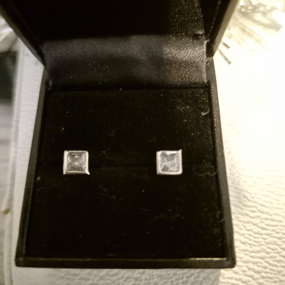 Elegant Silver Stud Earrings